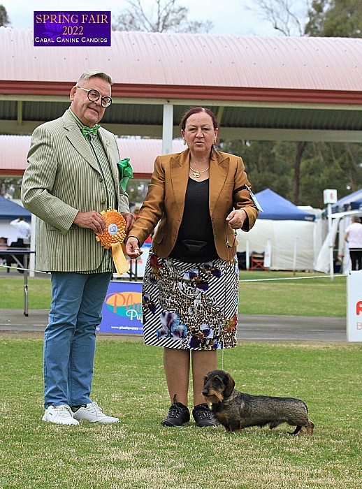 Spring Fair Fri 26/08/2022 FCI CACIB Show Bomber BIG 3.