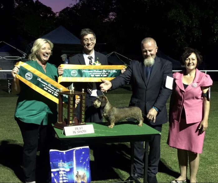 CH SYRMA STAR SAPPHIRE WINS BEST EXHIBIT IN SHOW (Judge Mr Ian Seath UK)