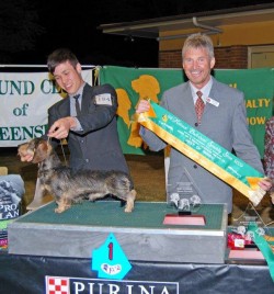 Best Of Breed of Breed MW Nationally 2009 