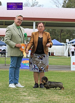 Bomber winning BIG 3 Judge: Mr Justin Ahola (Fin) at the 2022 Royal Canin International Spring Fair CACIB Show.